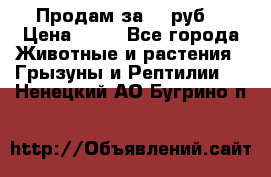 Продам за 50 руб. › Цена ­ 50 - Все города Животные и растения » Грызуны и Рептилии   . Ненецкий АО,Бугрино п.